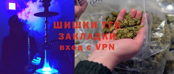крисы Абаза