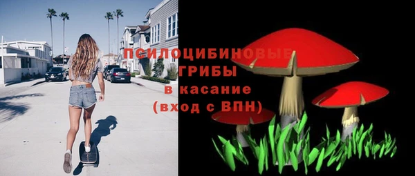 дмт Рославль