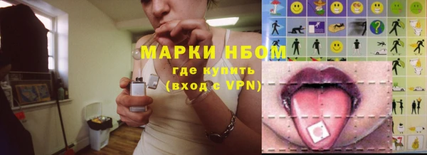 крисы Абаза