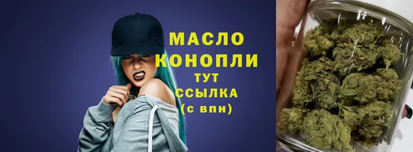 дмт Рославль