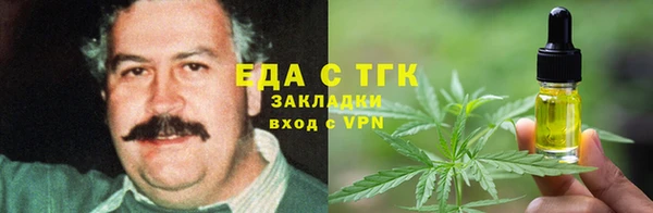 крисы Абаза