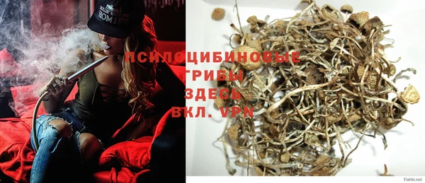 дмт Рославль